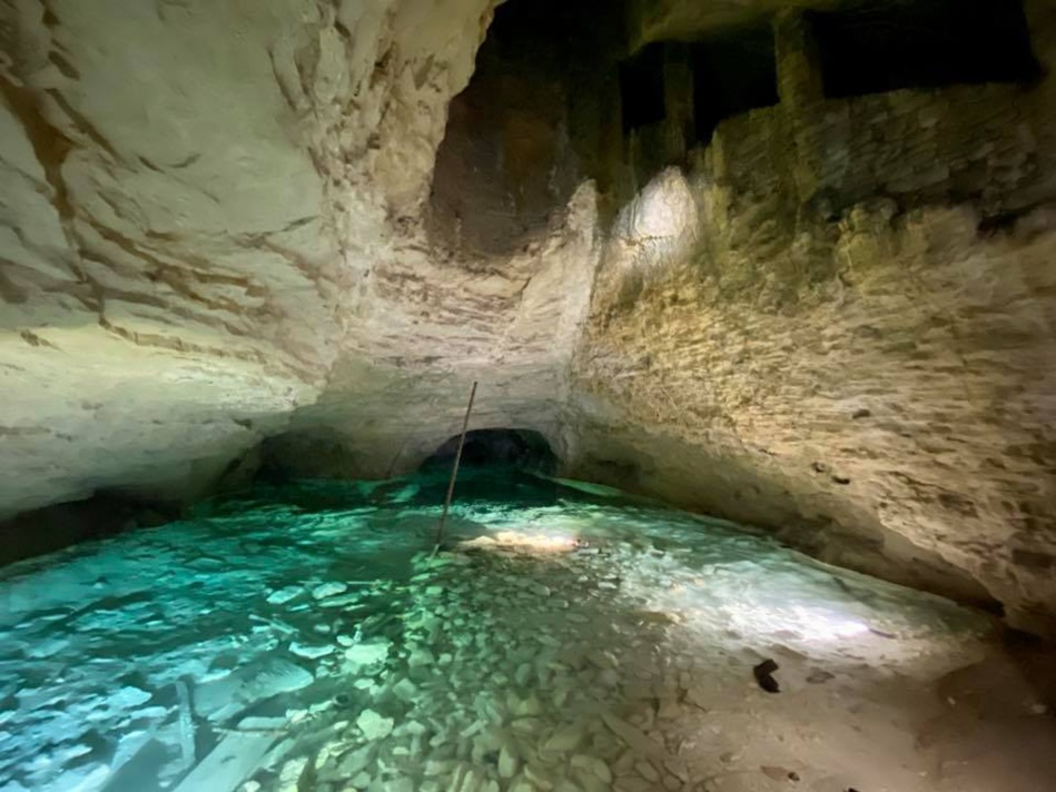 ® mjoculiolivichera ® mjoculiolivichera