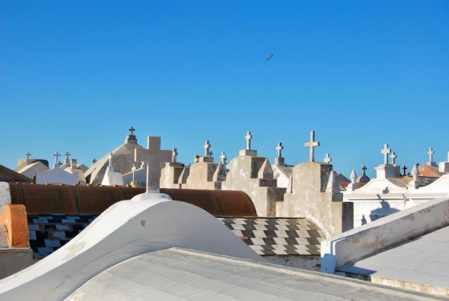 Notre site c’est offert un lifting ! Notre site c’est offert un lifting !